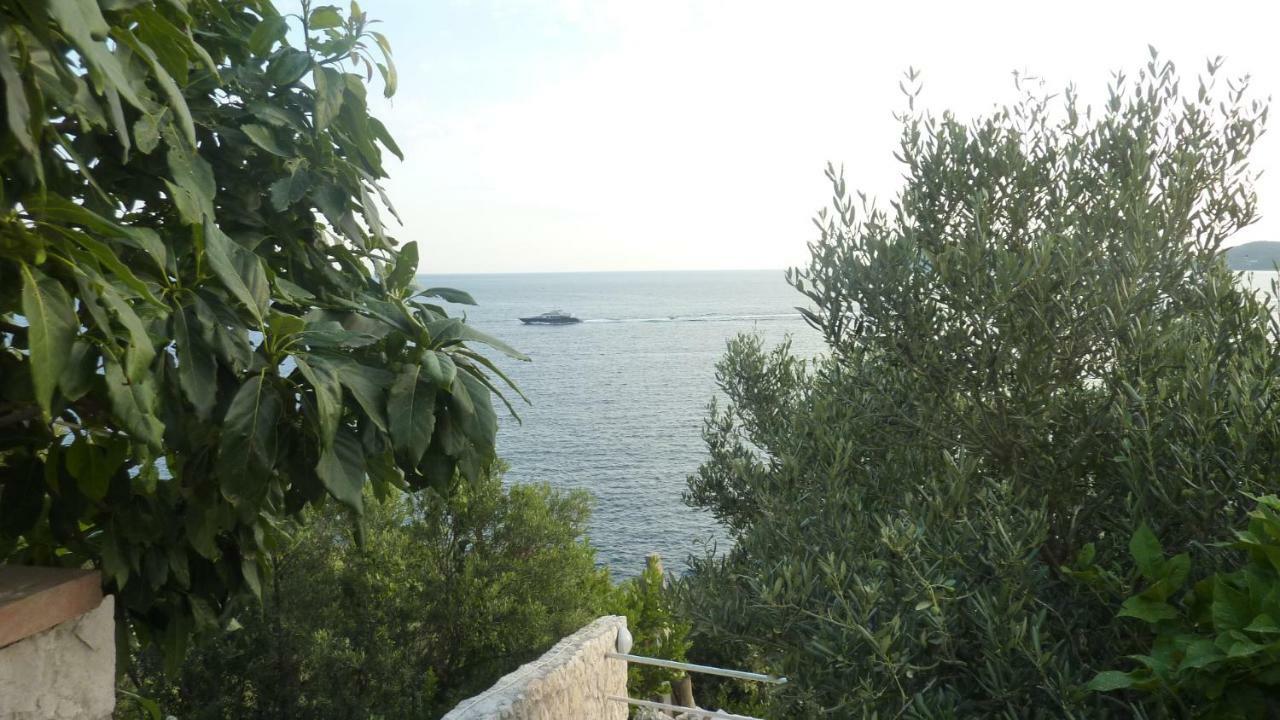 Stone Apartma
